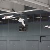 IMG_6035